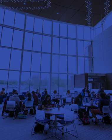 students sitting at tables in groups