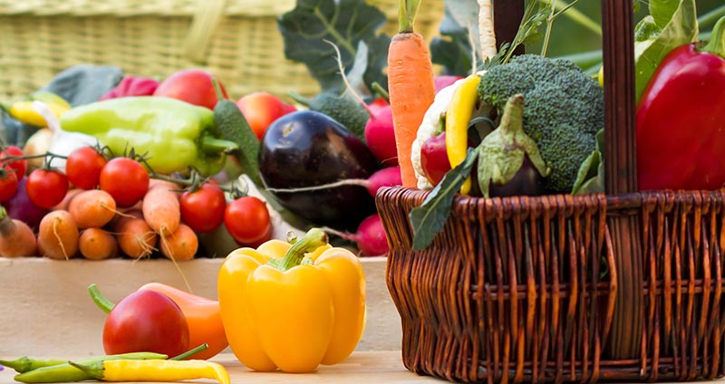 basket of vegetables